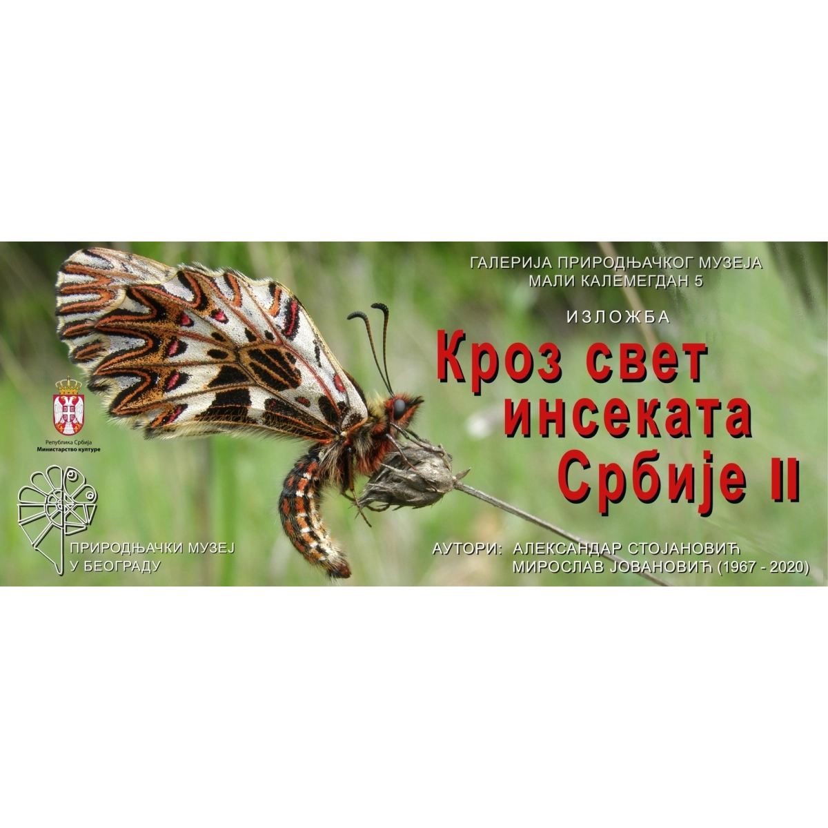 „Кроз свет инсеката Србије II“