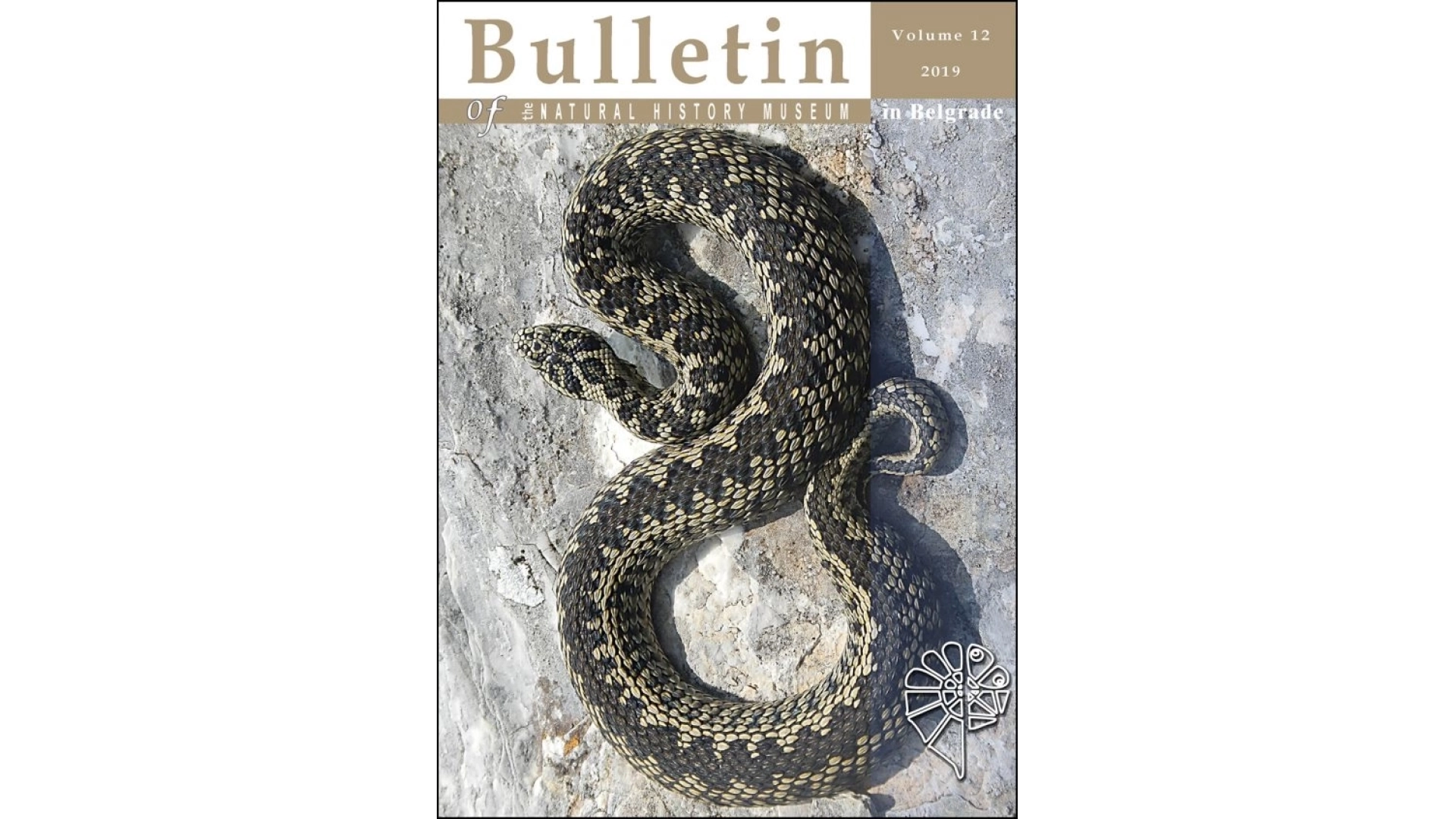 Volume 12 (2019)